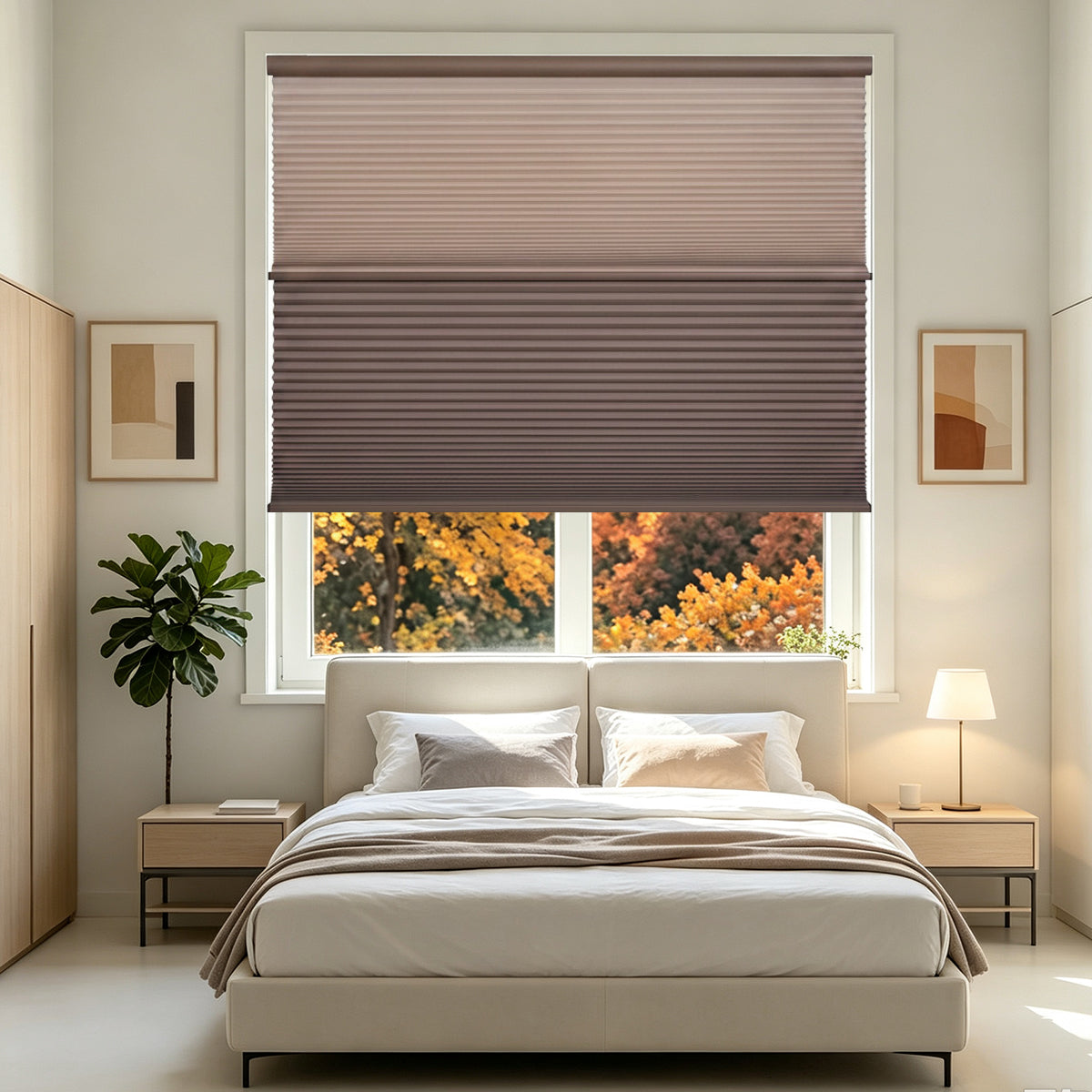Custom Cordless Day Night Cellular Shades – Dual Layer Honeycomb Blinds, Blackout & Light Filtering Window Shades, Energy Efficient Custom Blinds