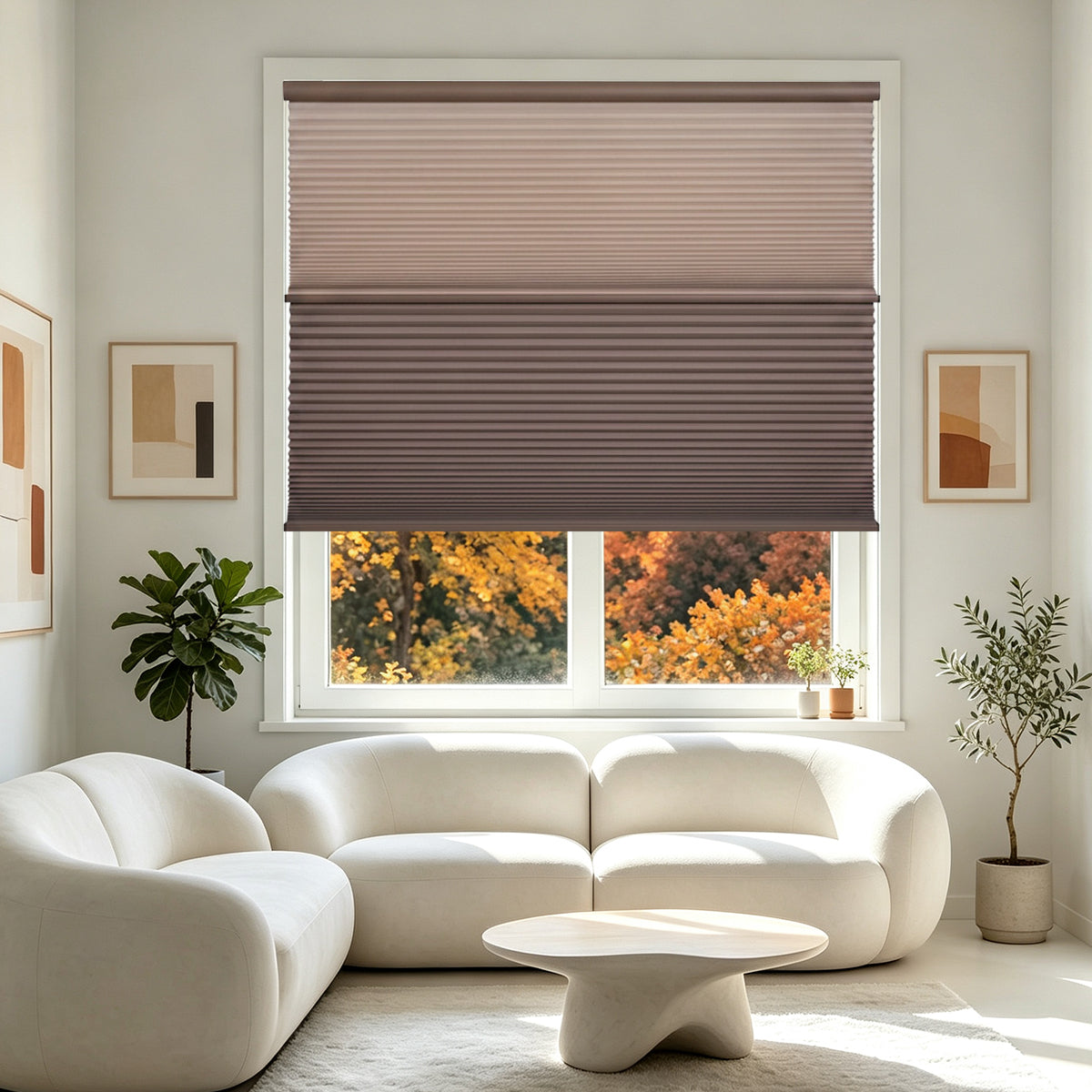 Custom Cordless Day Night Cellular Shades – Dual Layer Honeycomb Blinds, Blackout & Light Filtering Window Shades, Energy Efficient Custom Blinds