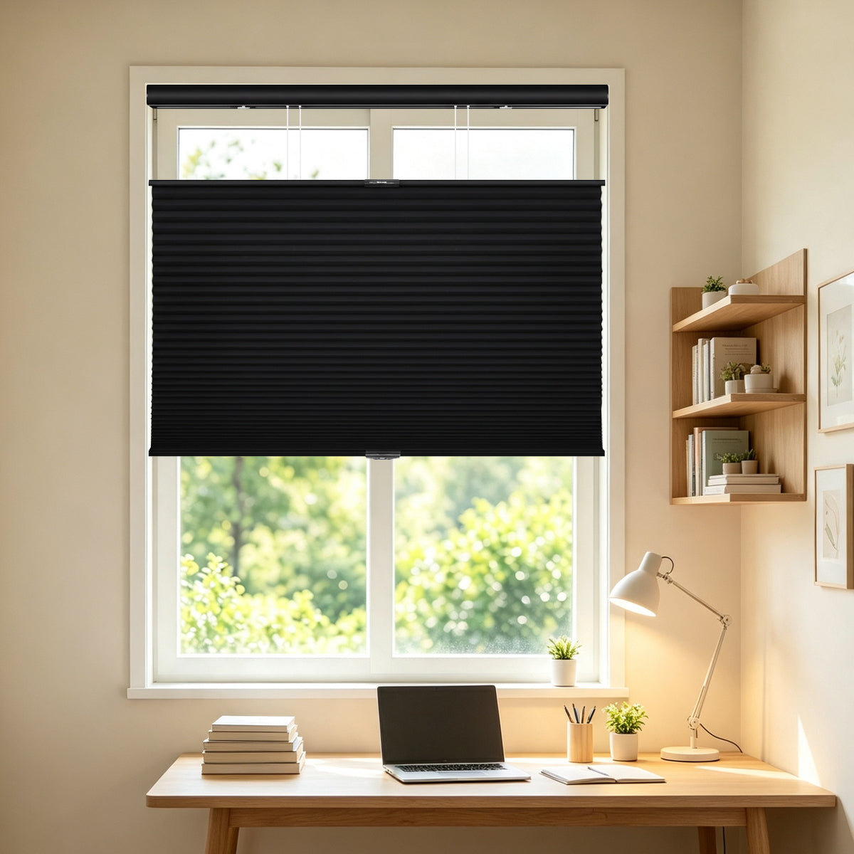 Cordless Top Down Bottom Up Blackout Honeycomb Shades