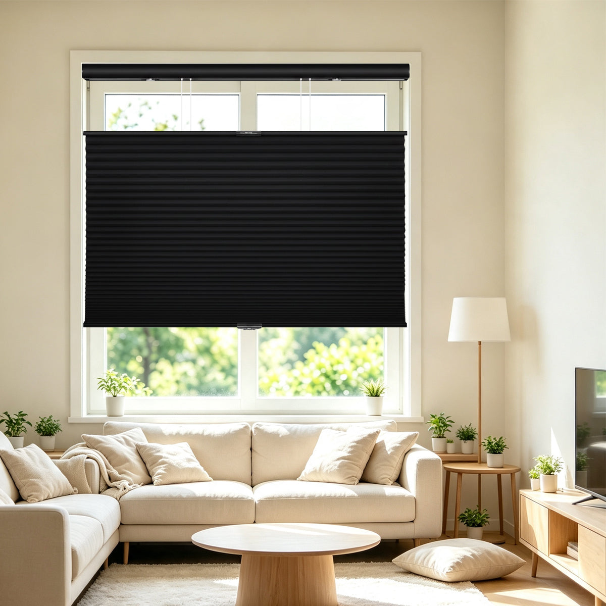 Cordless Top Down Bottom Up Blackout Honeycomb Shades
