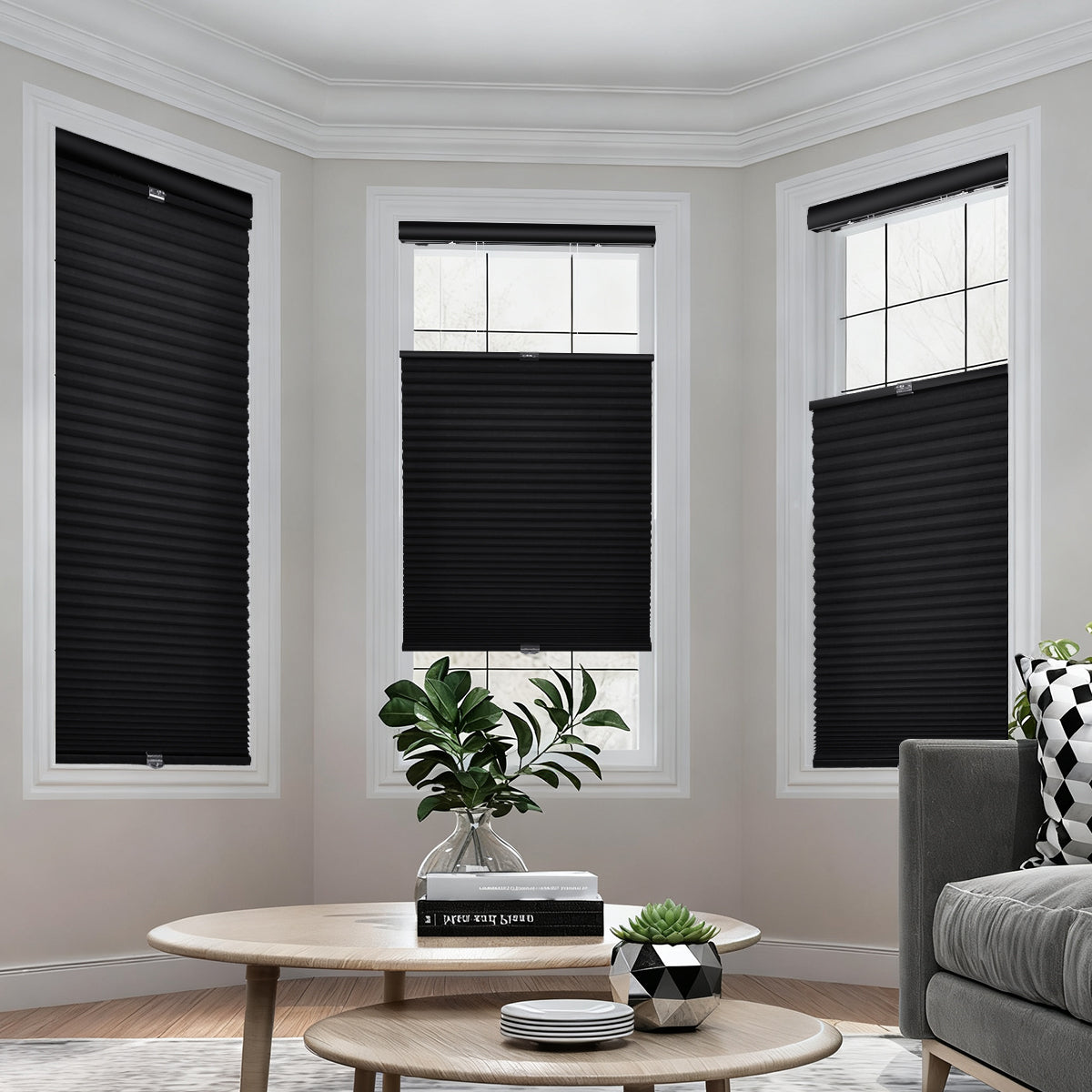 Cordless top down bottom up blackout honeycomb shades in living room for privacy and natural light control